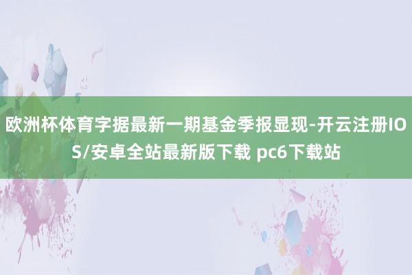 欧洲杯体育字据最新一期基金季报显现-开云注册IOS/安卓全站最新版下载 pc6下载站