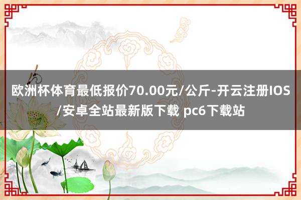 欧洲杯体育最低报价70.00元/公斤-开云注册IOS/安卓全站最新版下载 pc6下载站