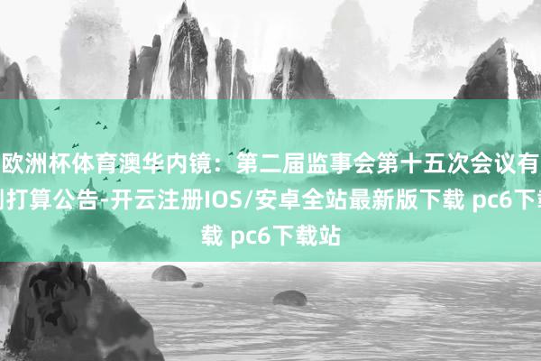 欧洲杯体育澳华内镜：第二届监事会第十五次会议有臆测打算公告-开云注册IOS/安卓全站最新版下载 pc