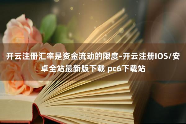 开云注册汇率是资金流动的限度-开云注册IOS/安卓全站最新版下载 pc6下载站