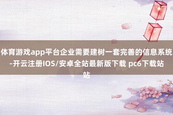 体育游戏app平台企业需要建树一套完善的信息系统-开云注册IOS/安卓全站最新版下载 pc6下载站