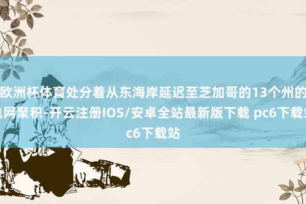 欧洲杯体育处分着从东海岸延迟至芝加哥的13个州的电网聚积-开云注册IOS/安卓全站最新版下载 pc6