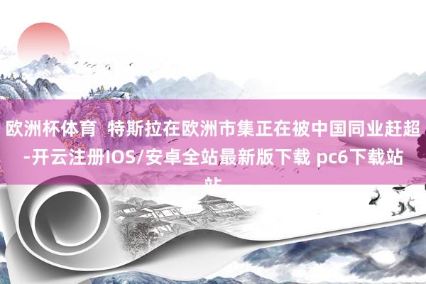 欧洲杯体育  特斯拉在欧洲市集正在被中国同业赶超-开云注册IOS/安卓全站最新版下载 pc6下载站