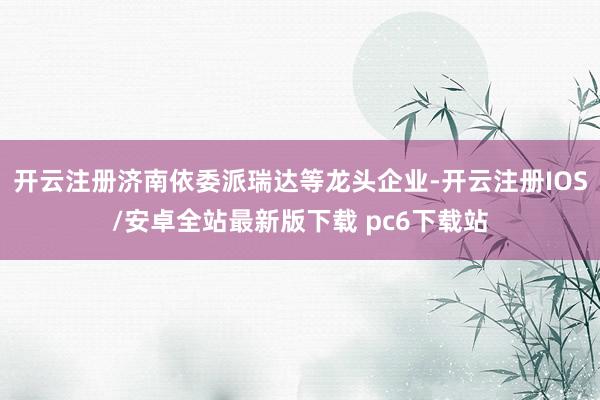 开云注册济南依委派瑞达等龙头企业-开云注册IOS/安卓全站最新版下载 pc6下载站
