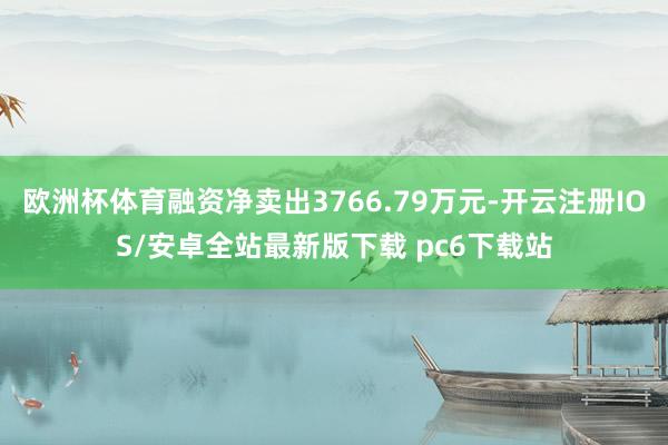 欧洲杯体育融资净卖出3766.79万元-开云注册IOS/安卓全站最新版下载 pc6下载站