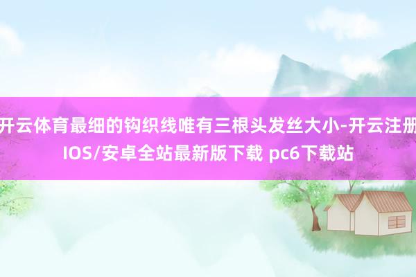 开云体育最细的钩织线唯有三根头发丝大小-开云注册IOS/安卓全站最新版下载 pc6下载站