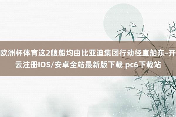 欧洲杯体育这2艘船均由比亚迪集团行动径直船东-开云注册IOS/安卓全站最新版下载 pc6下载站