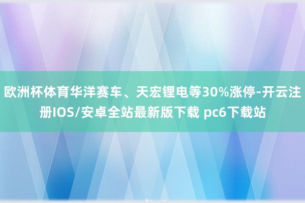 欧洲杯体育华洋赛车、天宏锂电等30%涨停-开云注册IOS/安卓全站最新版下载 pc6下载站