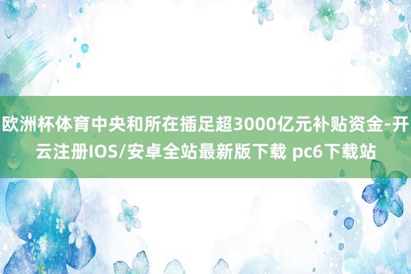 欧洲杯体育中央和所在插足超3000亿元补贴资金-开云注册IOS/安卓全站最新版下载 pc6下载站
