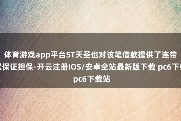 体育游戏app平台ST天圣也对该笔借款提供了连带拖累保证担保-开云注册IOS/安卓全站最新版下载 pc6下载站
