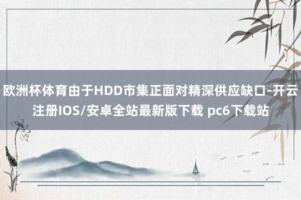 欧洲杯体育由于HDD市集正面对精深供应缺口-开云注册IOS/安卓全站最新版下载 pc6下载站