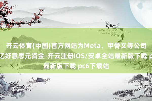 开云体育(中国)官方网站为Meta、甲骨文等公司提供数十亿好意思元资金-开云注册IOS/安卓全站最新版下载 pc6下载站