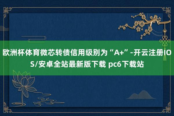 欧洲杯体育微芯转债信用级别为“A+”-开云注册IOS/安卓全站最新版下载 pc6下载站