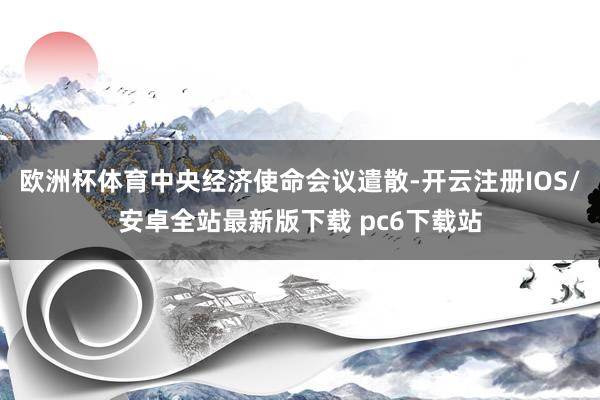 欧洲杯体育中央经济使命会议遣散-开云注册IOS/安卓全站最新版下载 pc6下载站