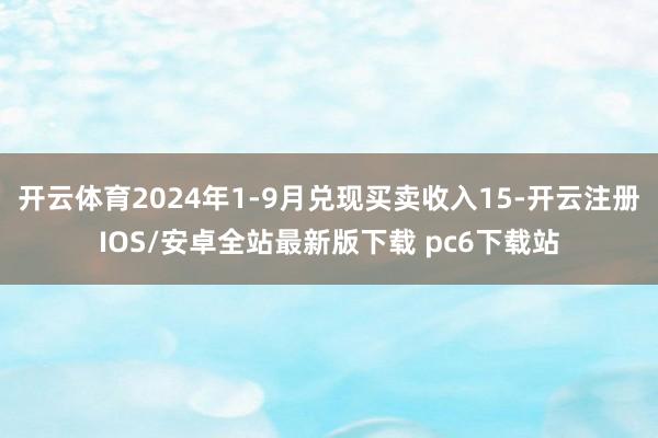 开云体育2024年1-9月兑现买卖收入15-开云注册IOS/安卓全站最新版下载 pc6下载站