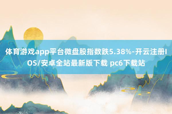 体育游戏app平台微盘股指数跌5.38%-开云注册IOS/安卓全站最新版下载 pc6下载站