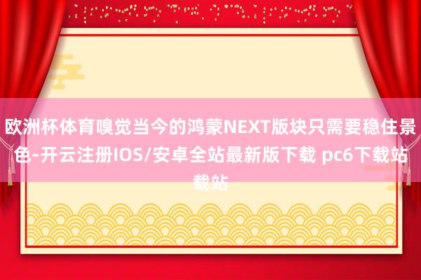 欧洲杯体育嗅觉当今的鸿蒙NEXT版块只需要稳住景色-开云注册IOS/安卓全站最新版下载 pc6下载站