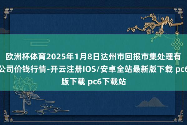 欧洲杯体育2025年1月8日达州市回报市集处理有限包袱公司价钱行情-开云注册IOS/安卓全站最新版下载 pc6下载站