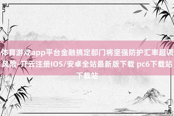 体育游戏app平台金融搞定部门将坚强防护汇率超调风险-开云注册IOS/安卓全站最新版下载 pc6下载站