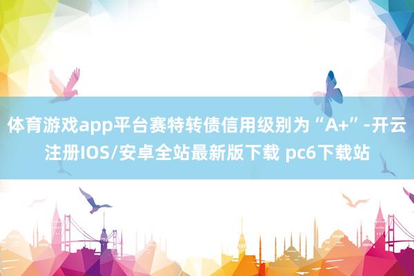 体育游戏app平台赛特转债信用级别为“A+”-开云注册IOS/安卓全站最新版下载 pc6下载站