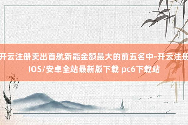 开云注册卖出首航新能金额最大的前五名中-开云注册IOS/安卓全站最新版下载 pc6下载站