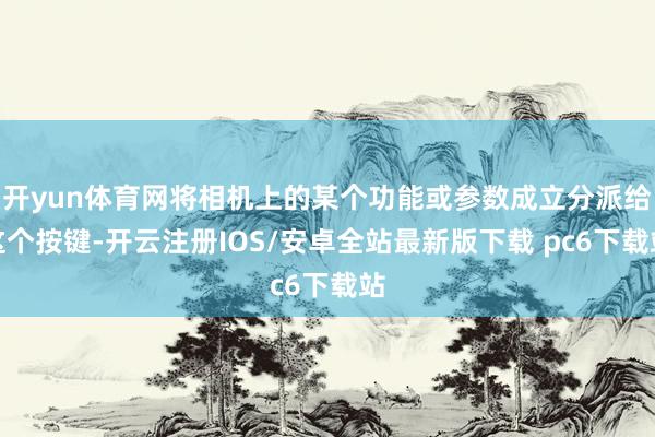 开yun体育网将相机上的某个功能或参数成立分派给这个按键-开云注册IOS/安卓全站最新版下载 pc6下载站
