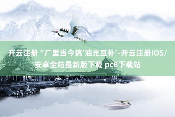 开云注册“厂里当今搞‘油光互补’-开云注册IOS/安卓全站最新版下载 pc6下载站