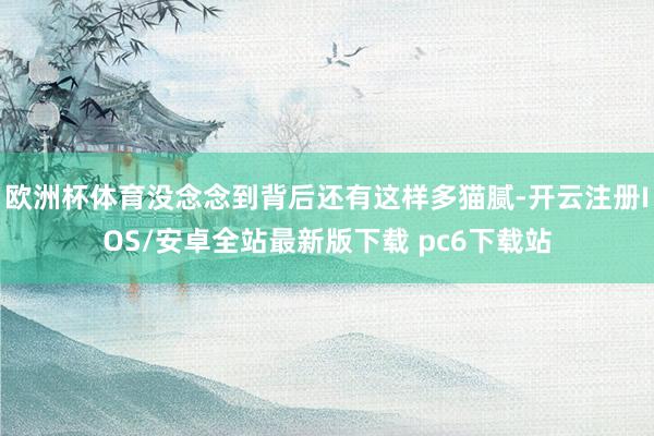 欧洲杯体育没念念到背后还有这样多猫腻-开云注册IOS/安卓全站最新版下载 pc6下载站