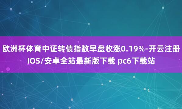 欧洲杯体育中证转债指数早盘收涨0.19%-开云注册IOS/安卓全站最新版下载 pc6下载站