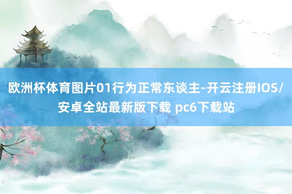 欧洲杯体育图片01行为正常东谈主-开云注册IOS/安卓全站最新版下载 pc6下载站