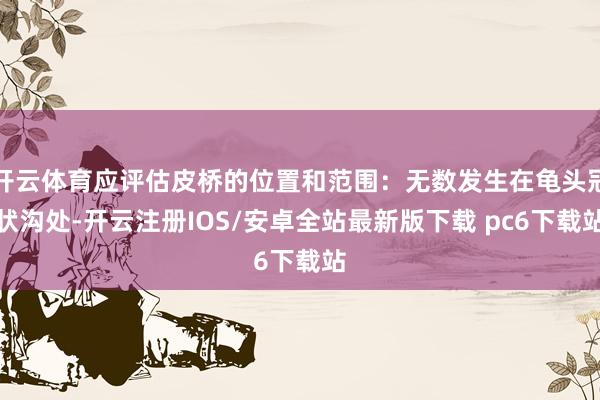开云体育应评估皮桥的位置和范围：无数发生在龟头冠状沟处-开云注册IOS/安卓全站最新版下载 pc6下载站