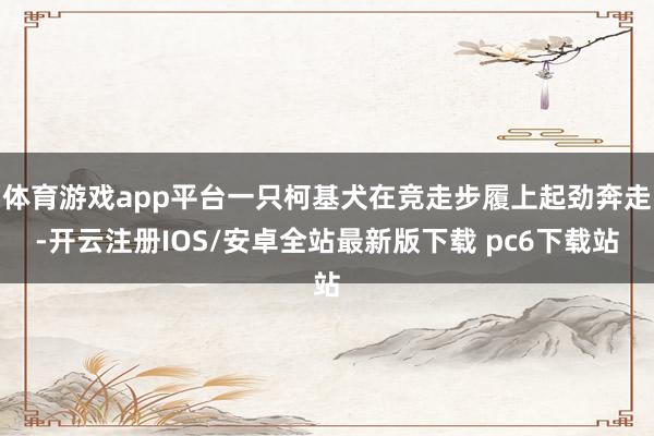 体育游戏app平台一只柯基犬在竞走步履上起劲奔走-开云注册IOS/安卓全站最新版下载 pc6下载站