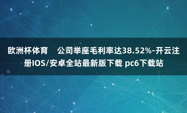 欧洲杯体育    公司举座毛利率达38.52%-开云注册IOS/安卓全站最新版下载 pc6下载站