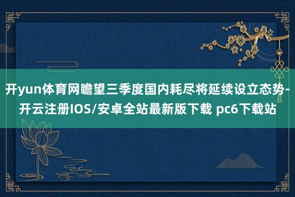 开yun体育网瞻望三季度国内耗尽将延续设立态势-开云注册IOS/安卓全站最新版下载 pc6下载站