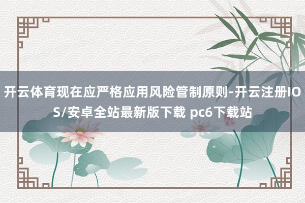 开云体育现在应严格应用风险管制原则-开云注册IOS/安卓全站最新版下载 pc6下载站