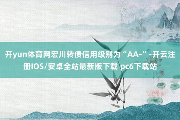 开yun体育网宏川转债信用级别为“AA-”-开云注册IOS/安卓全站最新版下载 pc6下载站