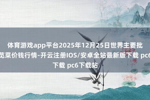 体育游戏app平台2025年12月25日世界主要批发市集苋菜价钱行情-开云注册IOS/安卓全站最新版下载 pc6下载站