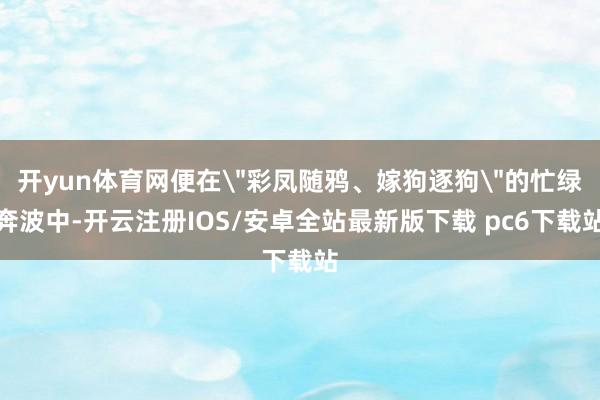 开yun体育网便在